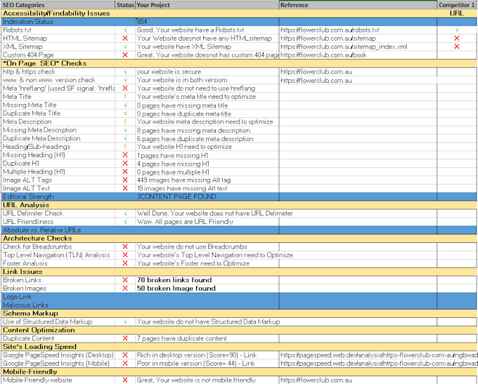 do advance website audit report, competitor analysis website
