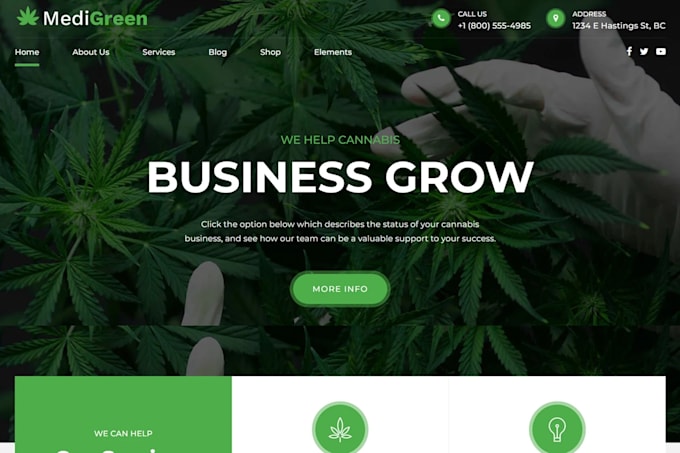 design cannabis website, cbd website, hemp website, weed, and marijuana website