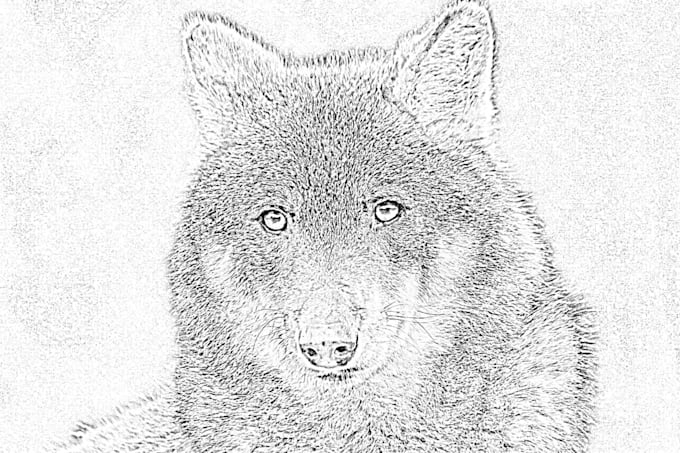 do custom pencil sketch art any images