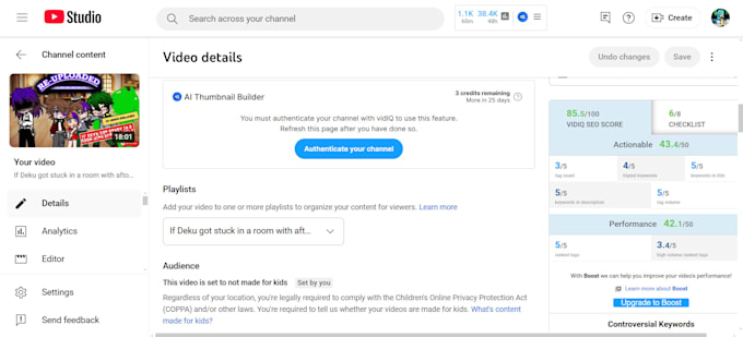 best youtube video SEO expert optimization and channel growth manager