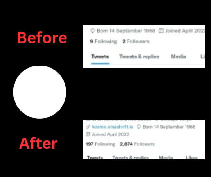 do twitter marketing and management expert real followers growth engagement