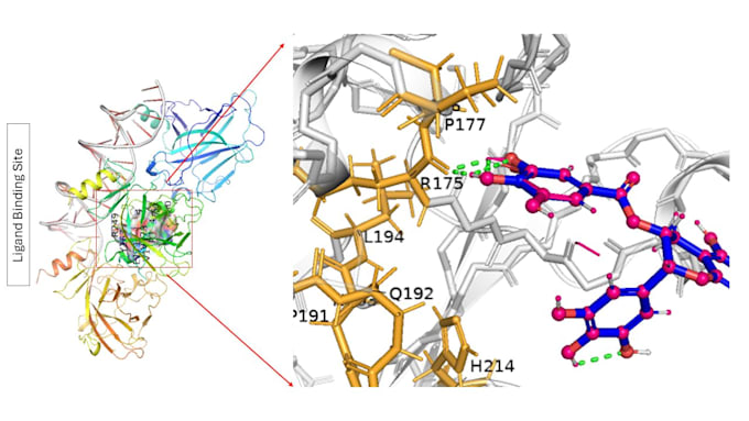 build ai solutions for genomics proteomics and bioinformatics workflows