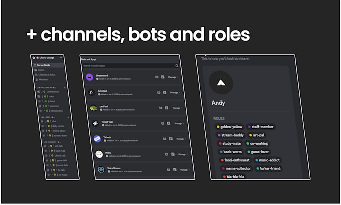 create a professional discord server for your community