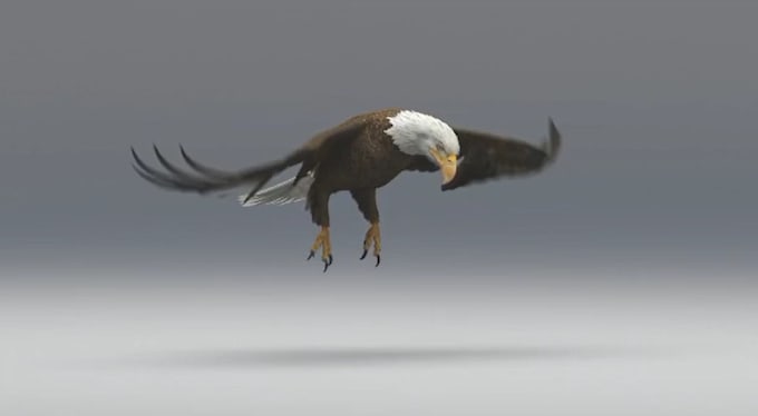 Create 3d animal animation, rendr cgi animal model, animal rigging ...