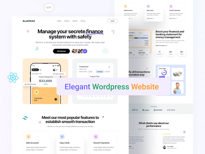 develop a professional wordpress website for your business
