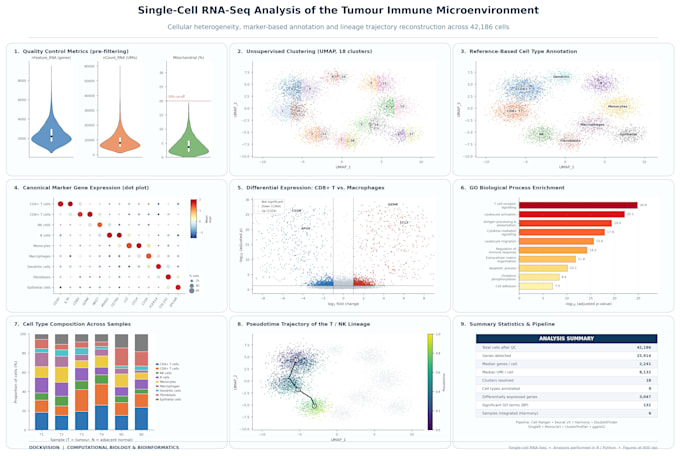 do any r studio, statistical and data visualization projects