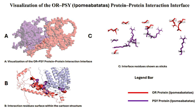 help you in protein peptide, dna docking and md simulation
