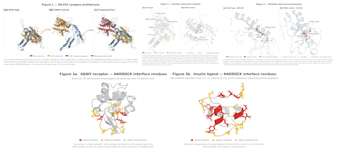 help you in protein peptide, dna docking and md simulation