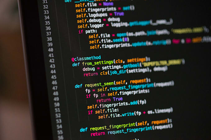 build your website from scratch as a professional fullstack team