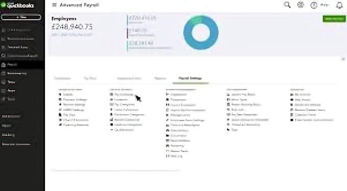 manage advance professional payroll services
