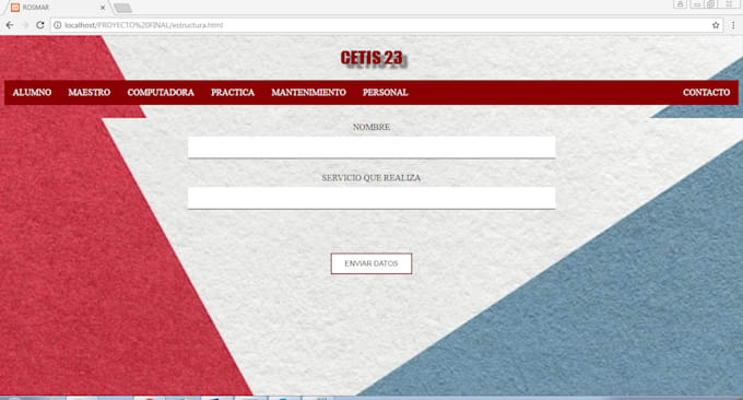 desarrollo de paginas web