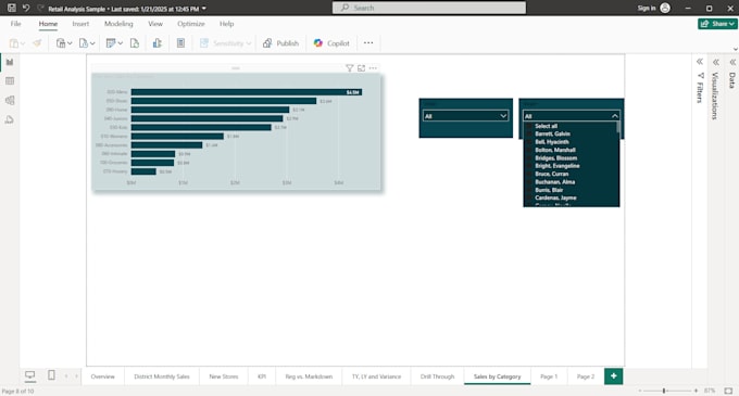 build a professional power bi dashboard and data visualization