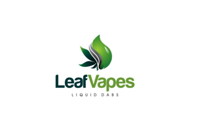 create unique modern leaf logo design for your brand