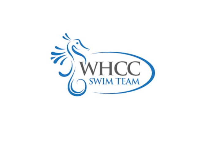 design swim company word mark logo