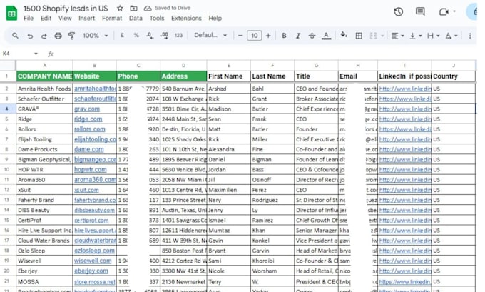 do shopify ecommerce leads, shopify store leads