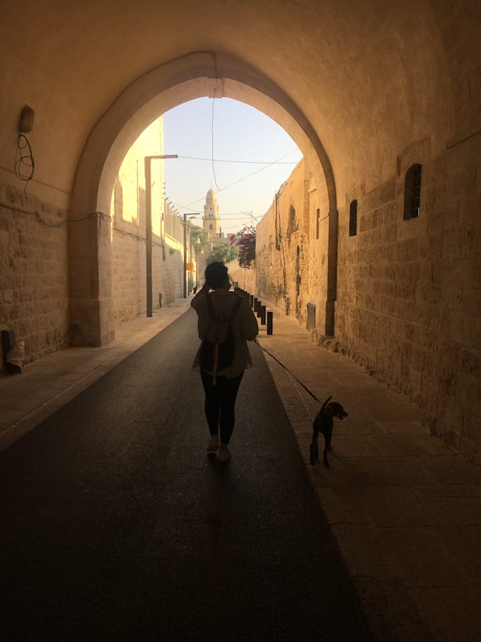 teach arabic language, conversation, and culture