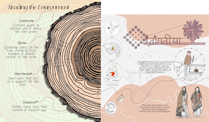 create educational infographic illustrations