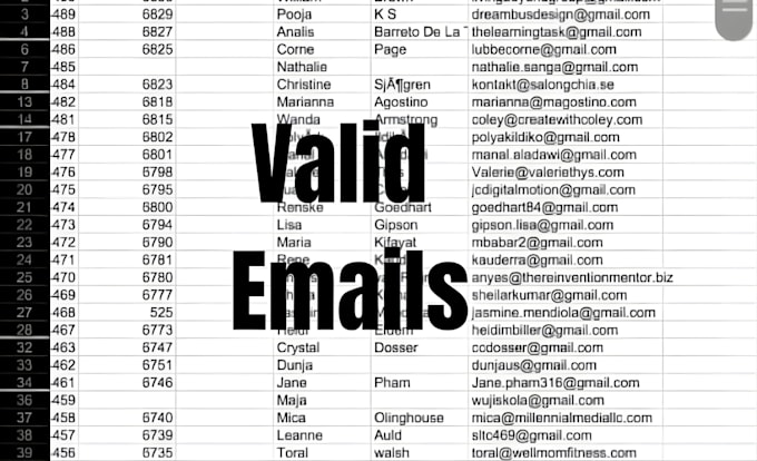 do niche targeted verified email list, b2b, bulk email list for email marketing