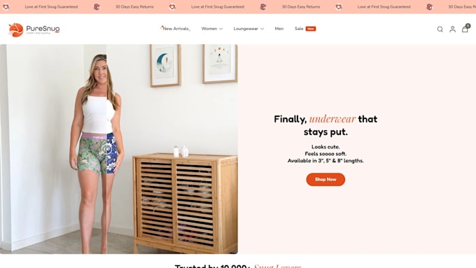 build a high converting professional shopify store