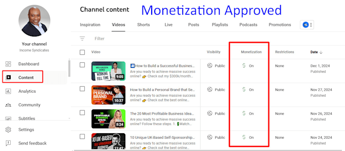 do youtube channel monetization with organic video promotion