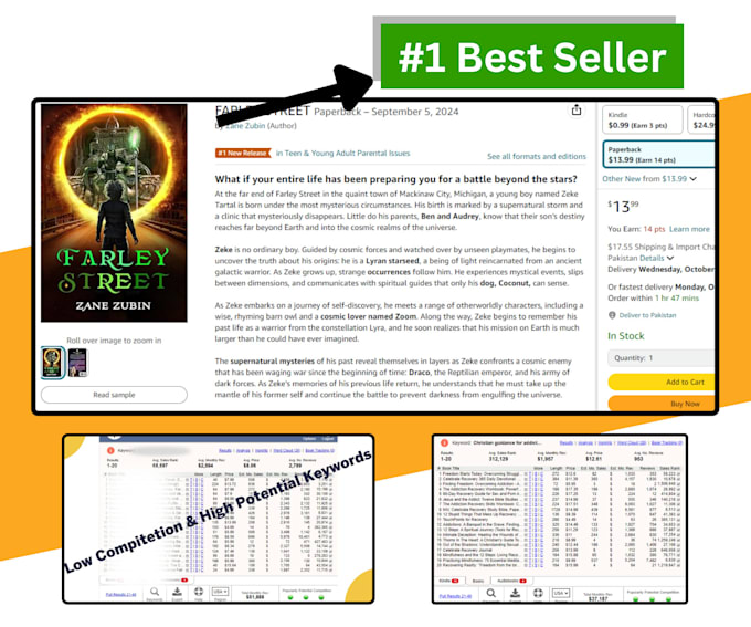run and optimize amazon PPC ads for KDP books