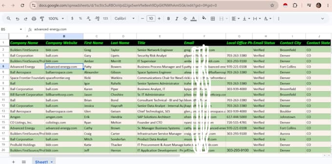 be your virtual assistant for data entry and web research