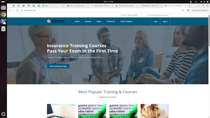 design and develop stunning business websites