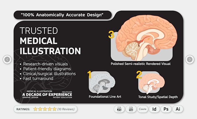create vector medical illustration for education, healthcare and publishing