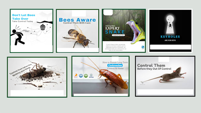 design outstanding pest control ads design