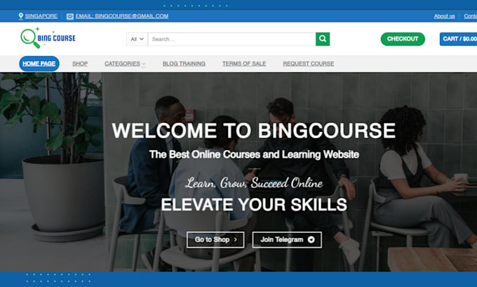 design a professional lms, elearning, and educational website with learndash