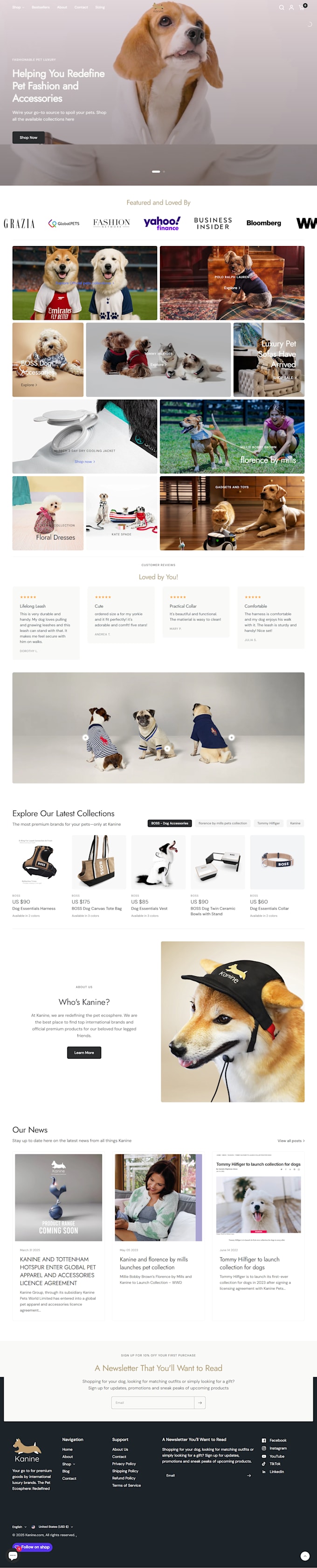 expertly build your shopify store