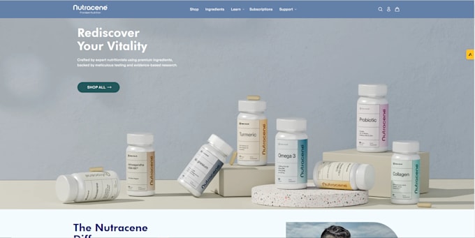 do shopify ecommerce website design develop and integration