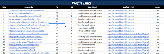 build high da dofollow profile backlinks for SEO google ranking