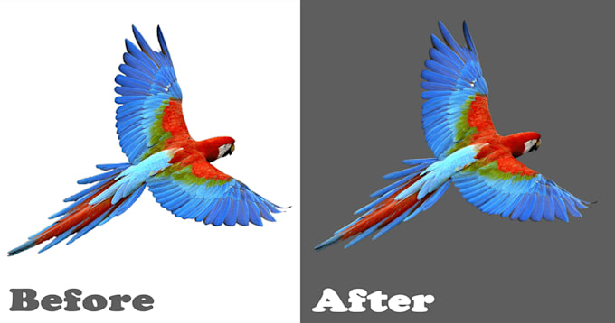 do photoshop background removal and image editing