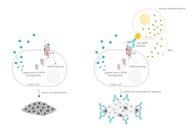 create stunning scientific illustrations
