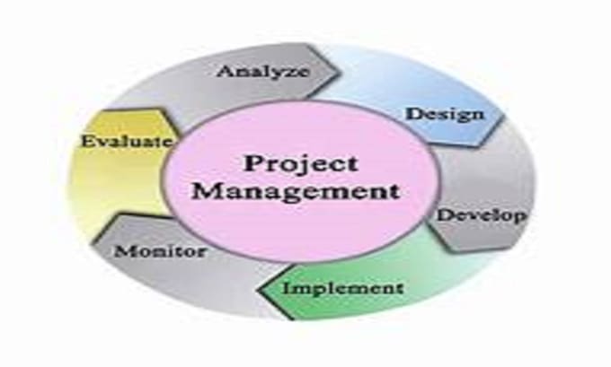 help in project management assignments reports and tasks