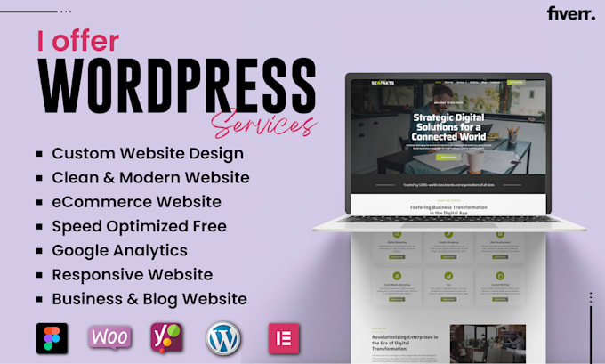 do wordpress ecommerce business website, website development