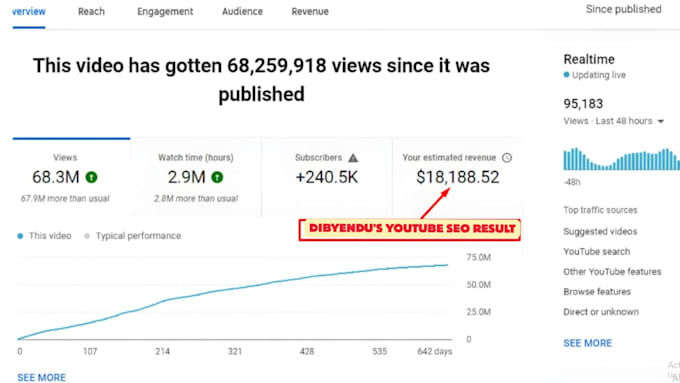 do professional youtube SEO to rank your videos organically