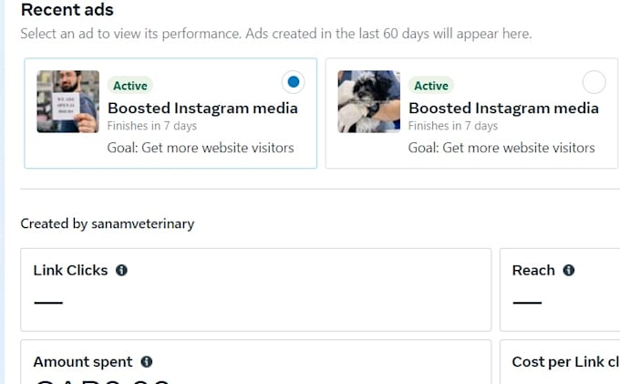 manage facebook and instagram ads for growth