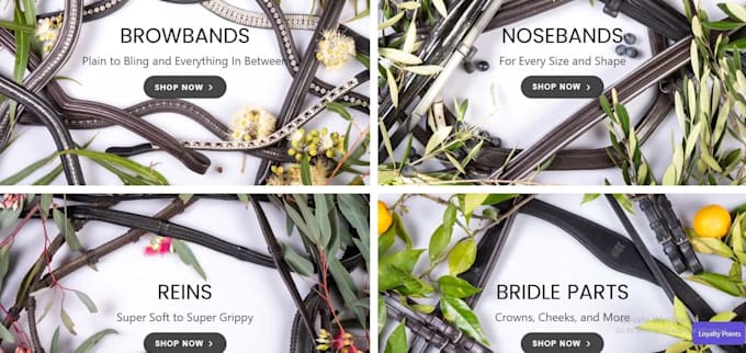 fix shopify bugs, themes, errors, and liquid issues
