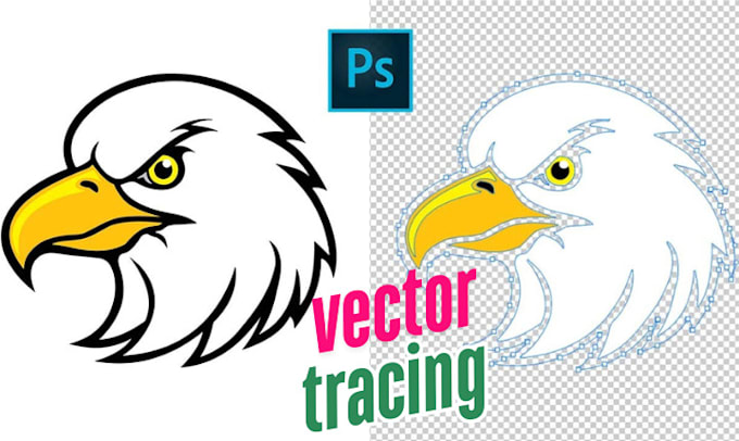 do vector tracing adobe illustrator logo art  image illustration