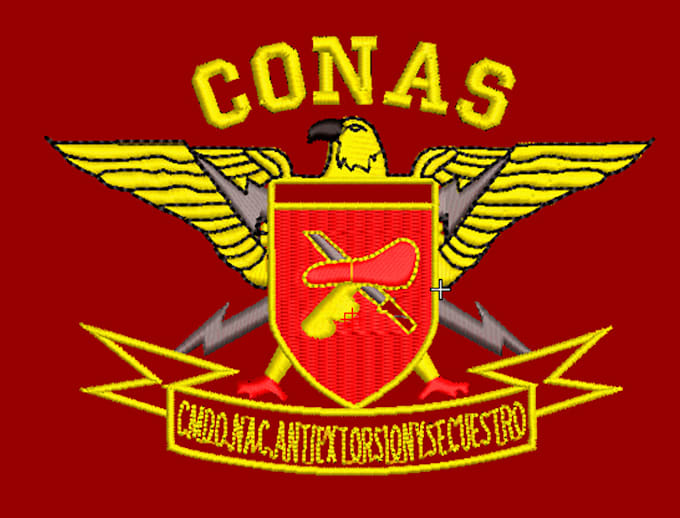 do a embroidery digitizing of a logo
