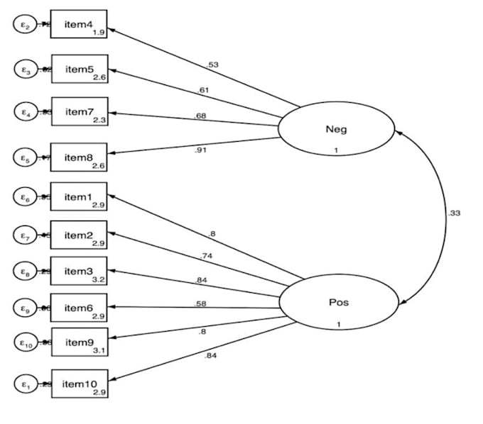 provide exploratory, confirmatory factor analysis, efa, cfa