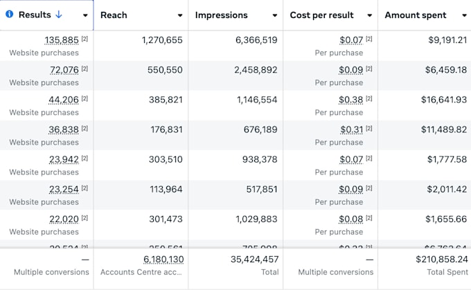 be your expert paid media manager across multiple platforms