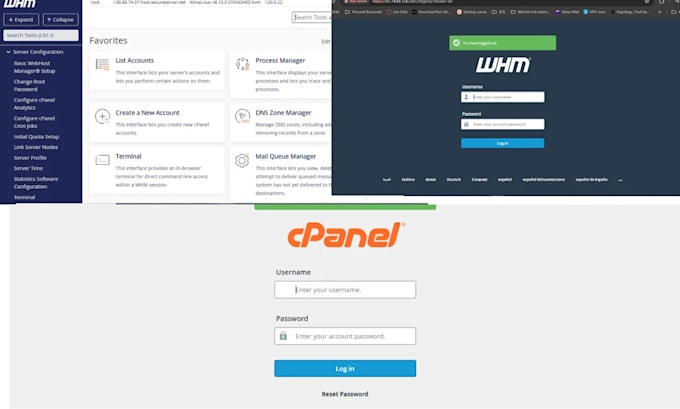 be your cpanel, whm, plesk, virtualmin and linux server administrator