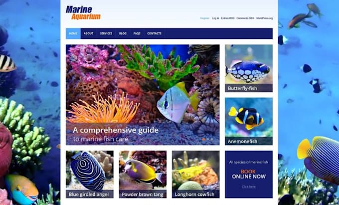design aquarium shopify store aquarium ecommerce website fish bait website