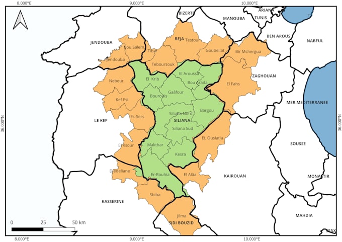 do gis mapping and spatial analysis