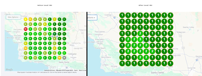 do monthly local SEO services with google my business optimization