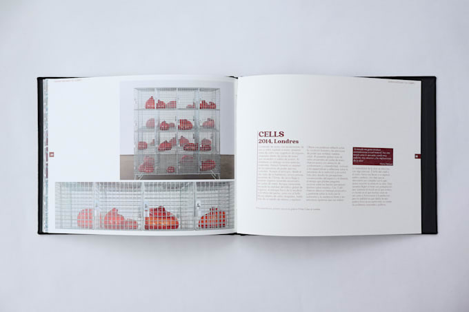 do editorial design such as magazines, catalogs, posters or book layout