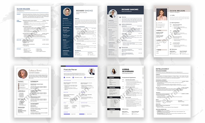 make a professional CV design and resume design